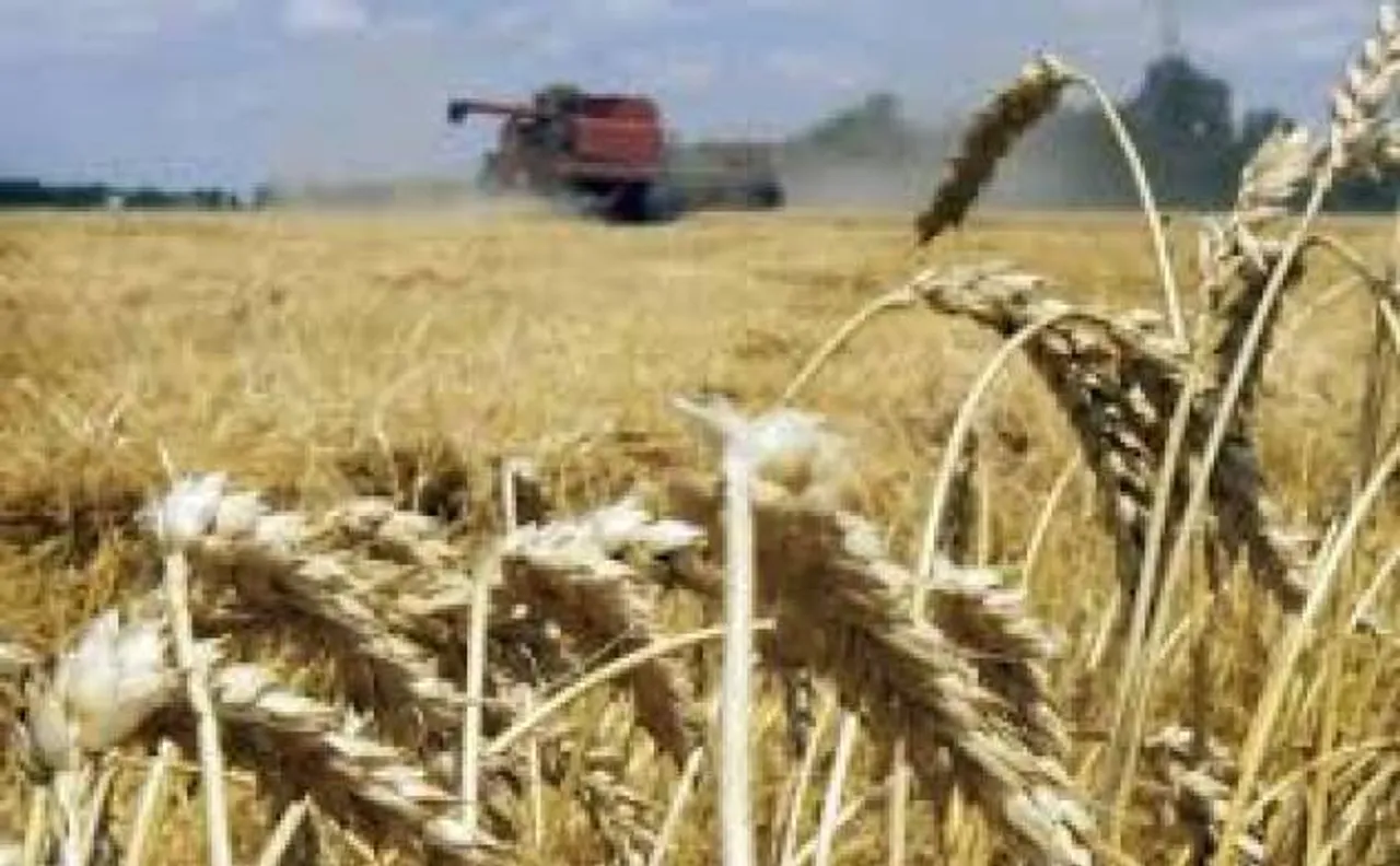 Farm loan recovery slows down in Punjab as growers 'refuse' to repay debts, await Cong govt's waiver scheme