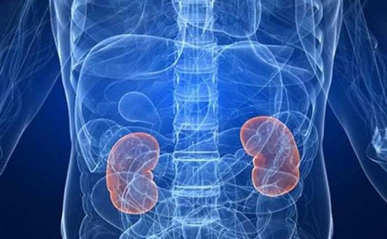 Vietnam: Kidney patients recall horror after dialysis deaths