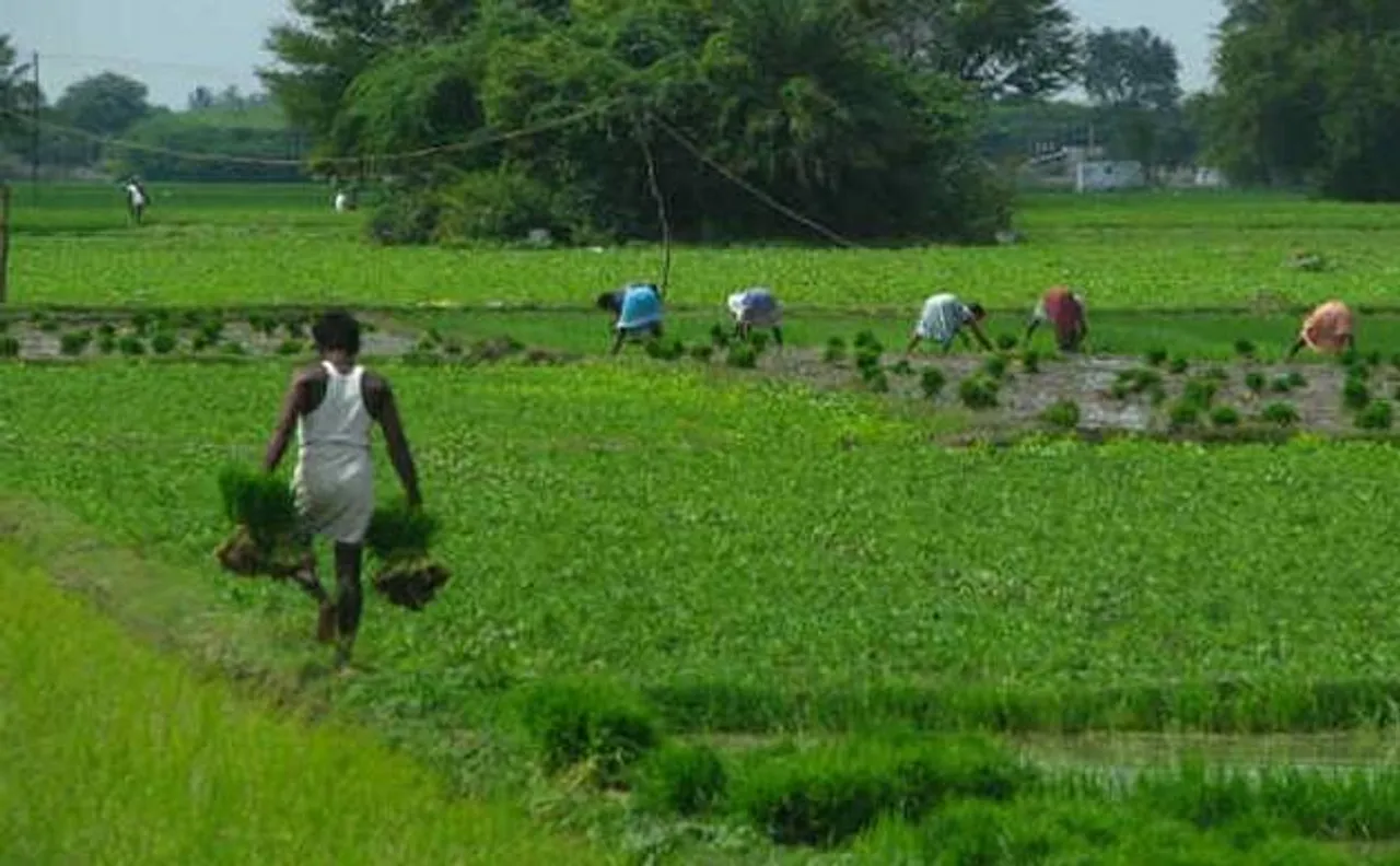 8 crore farmers out of 14 crore given soil health cards so far, confirms Government
