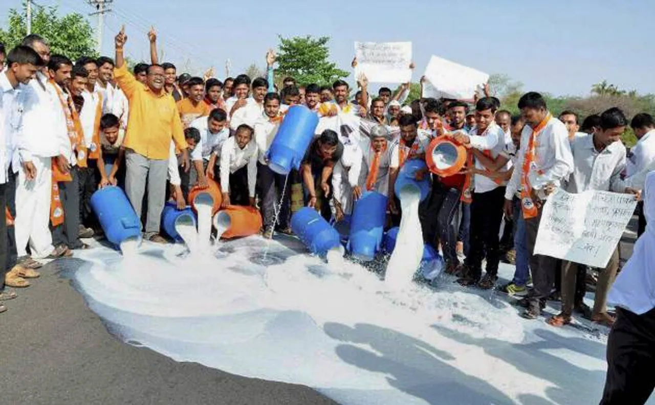 Watch: Maharashtra farmers protest demanding loan waiver; spill milk on roads, block vegetable sale