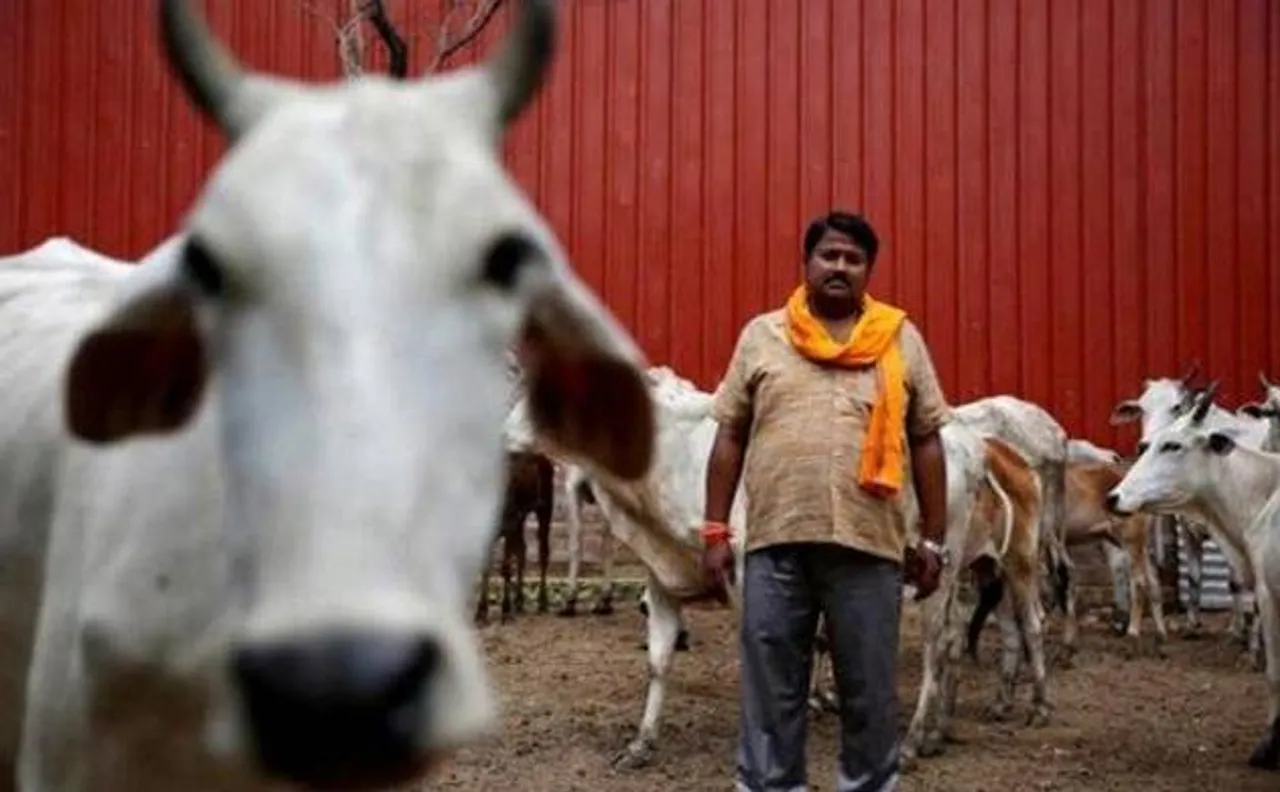 Ban on cattle sale for slaughter could pave way for American hides, says Kolkata leather traders association