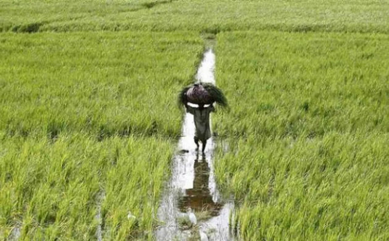 Congress-led NGO to adopt 208 farmer families in Maharashtra