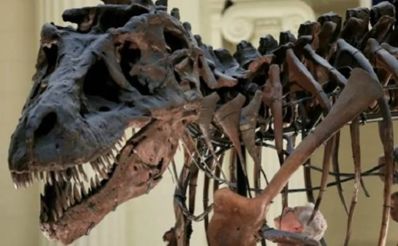 T Rex had scaly skin rather than feathers, claims study