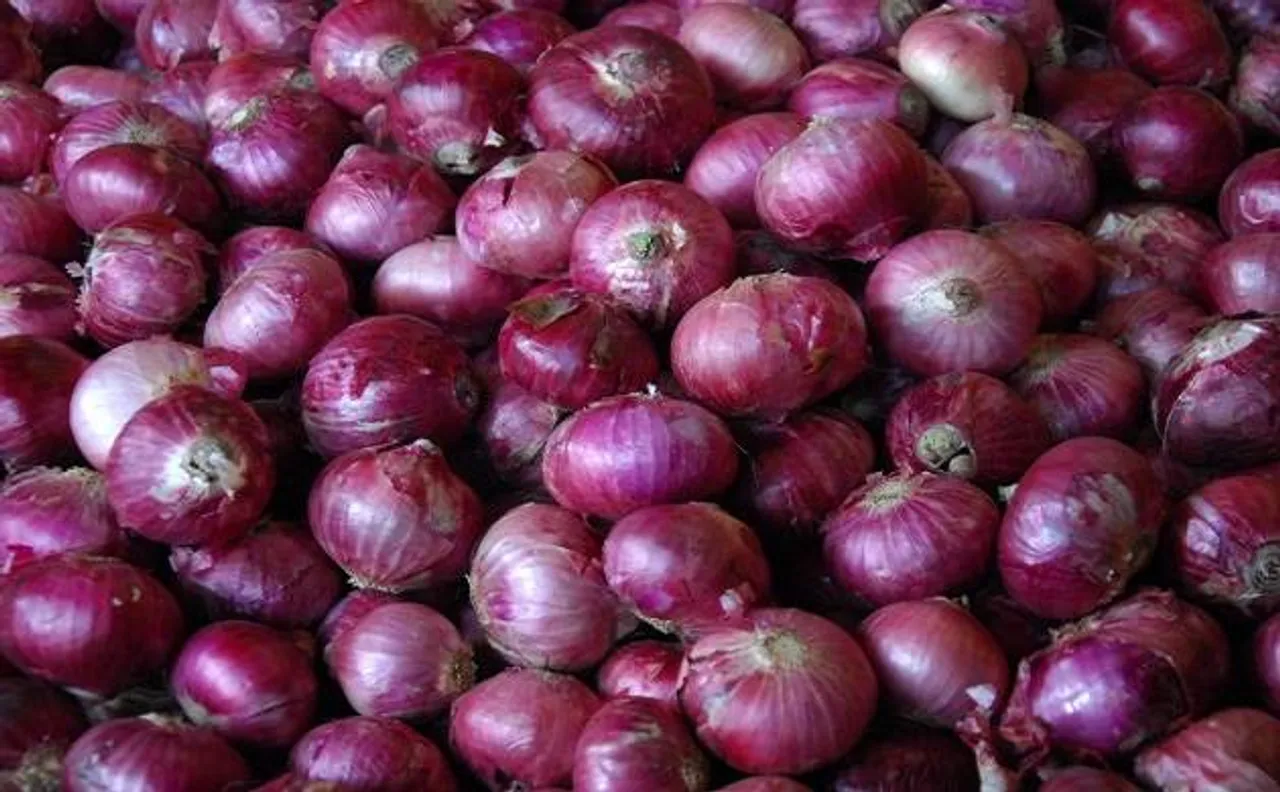 Red onions may be helpful in treating cancer, says study
