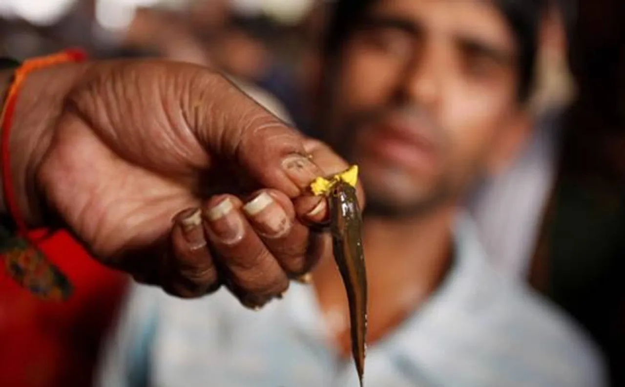 Live fish to cure asthma? Thousands throng Nampally Exhibition Grounds to receive 'fish prasadam' in Hyderabad