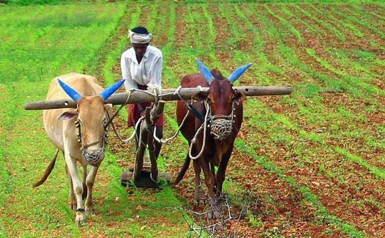 7 lakh Rajasthan farmers set to receive insurance cover of Rs 6 lakh