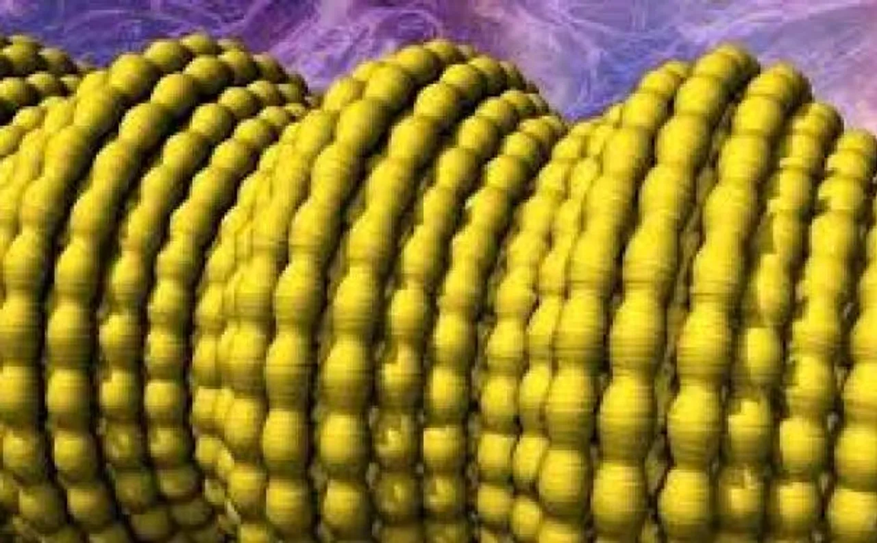 Scientists develops new form of hard, elastic 'super' carbon; gives rise to unique combination of properties