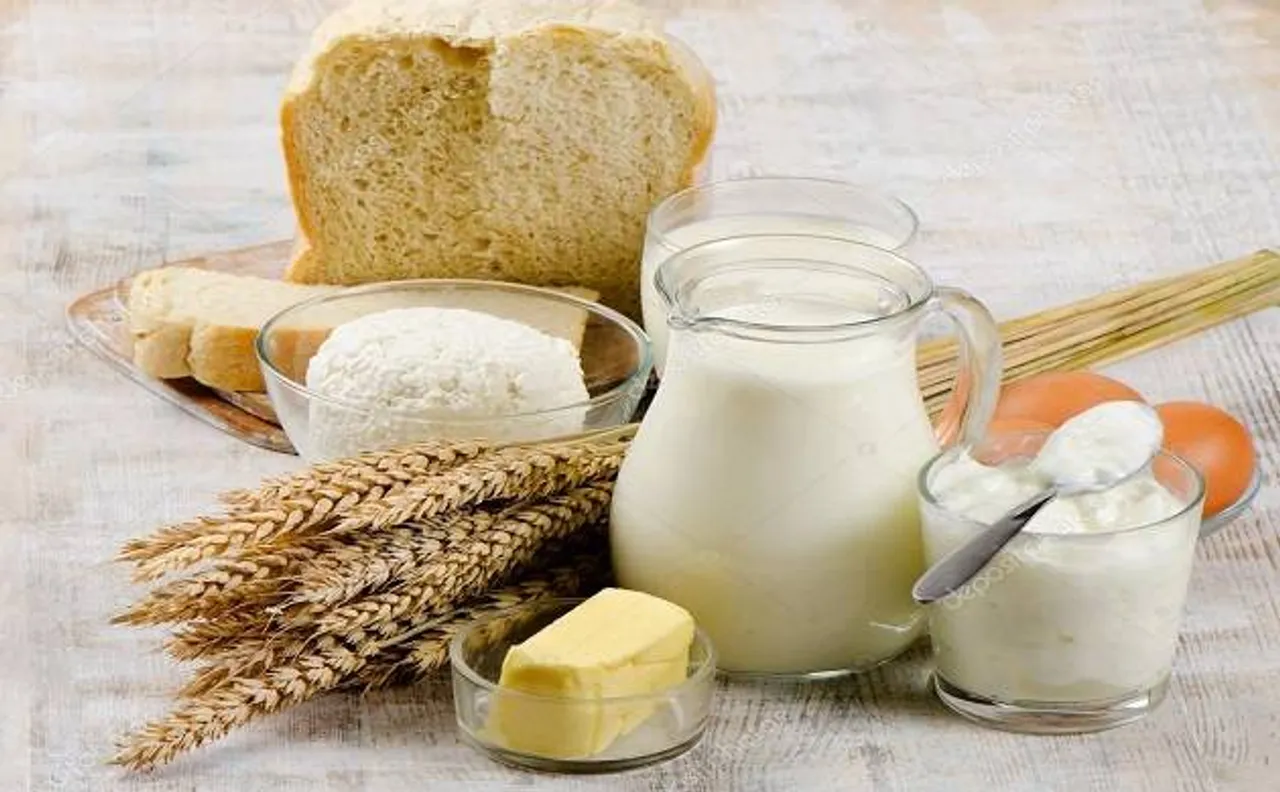 Eating bread, cheese and milk at your breakfast will help you taking better decisions