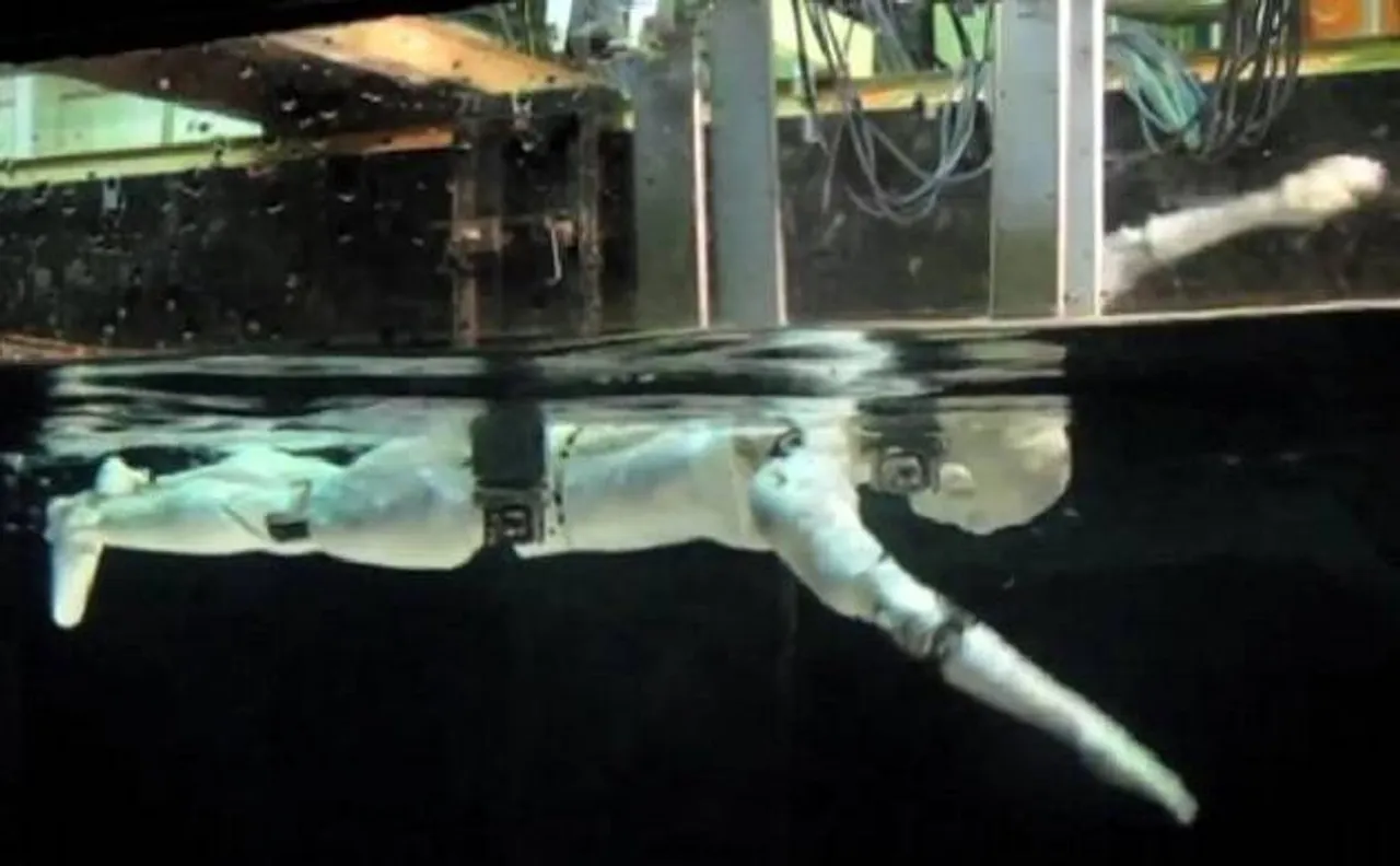 Japan  develops swimming robots to probe damage at nuclear plant after 2011 tsunami