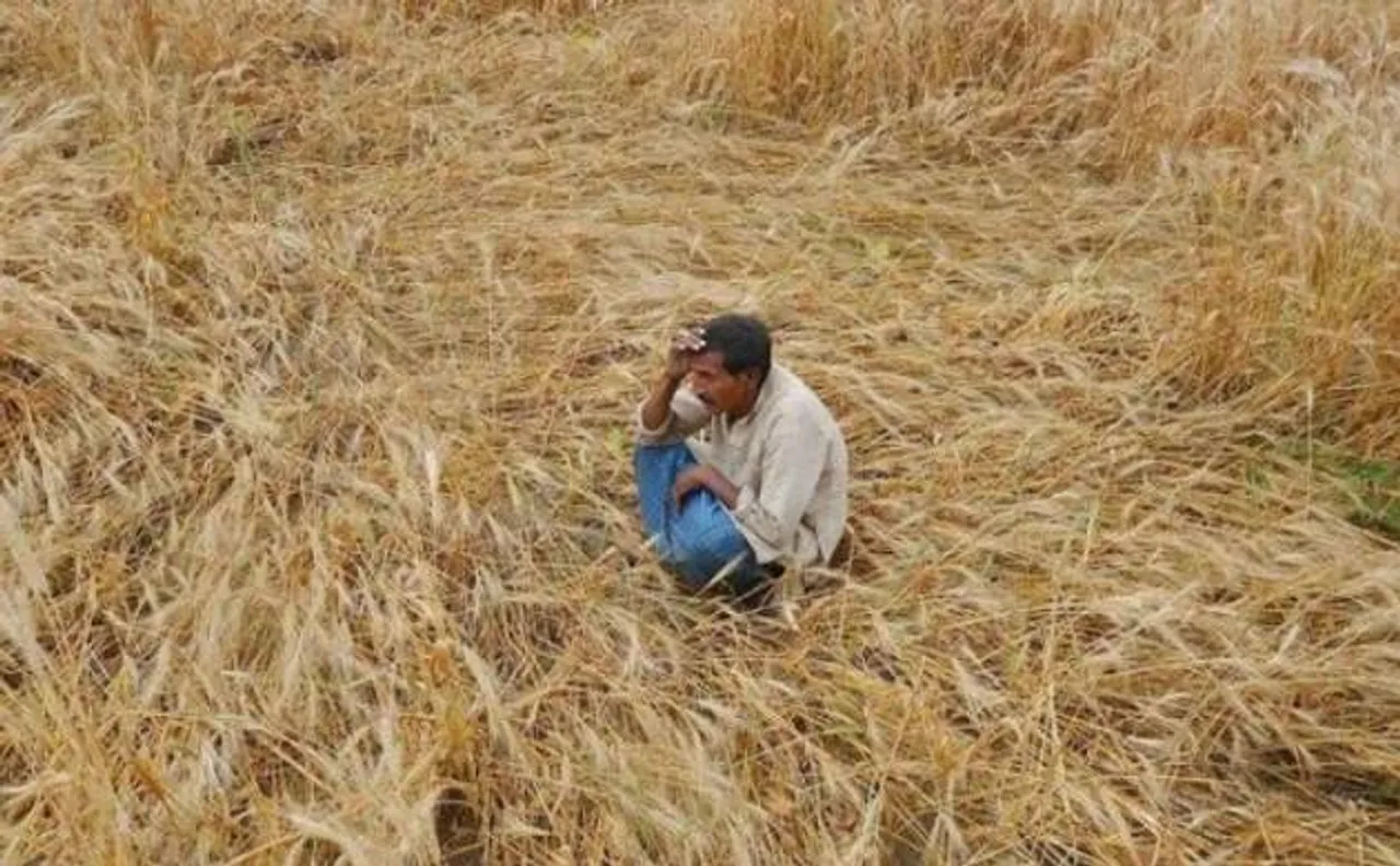MP: One more farmer commits suicide, total toll reaches 12 in 10 days