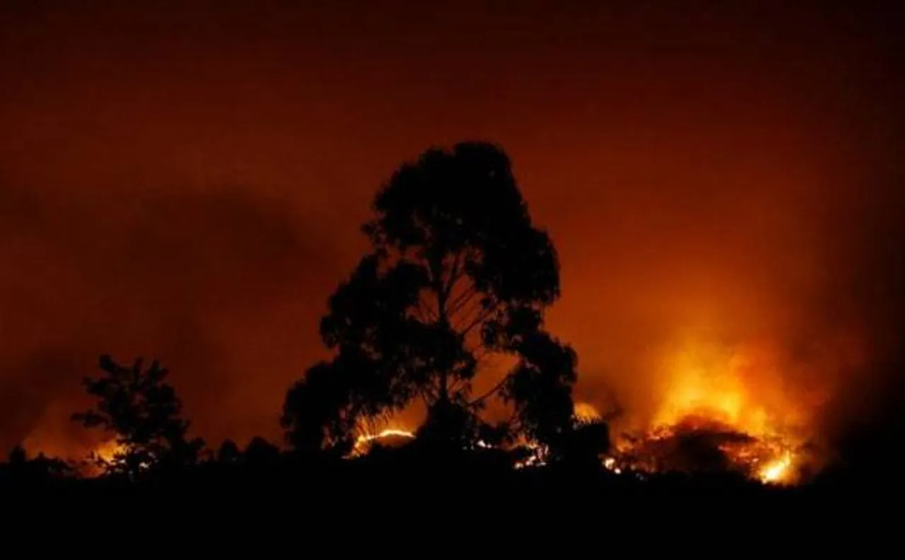 Huge Portugal forest fires kill 43, injure scores 