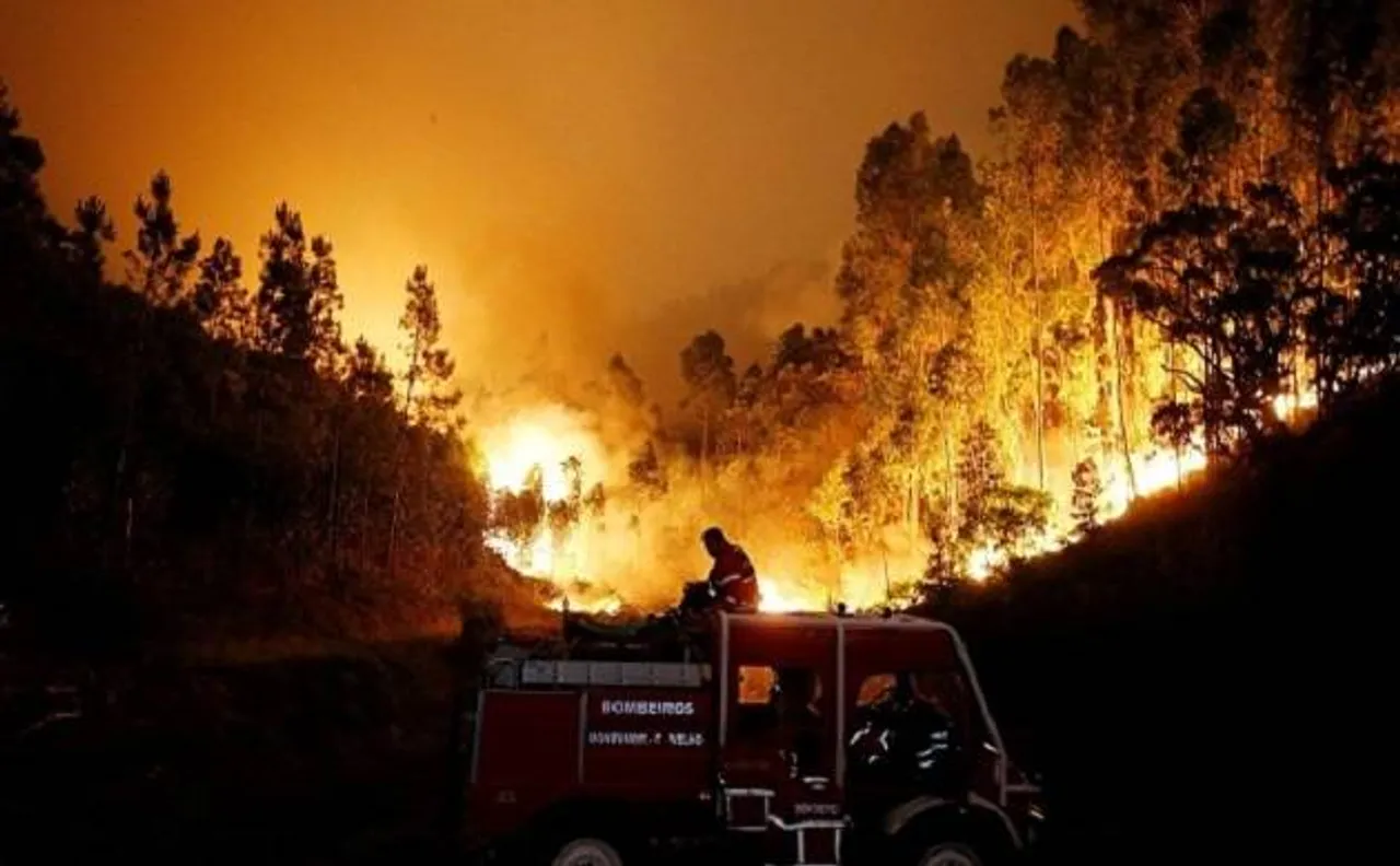 Massive forest fires kill at least 62 in Portugal, including 4 firefighters