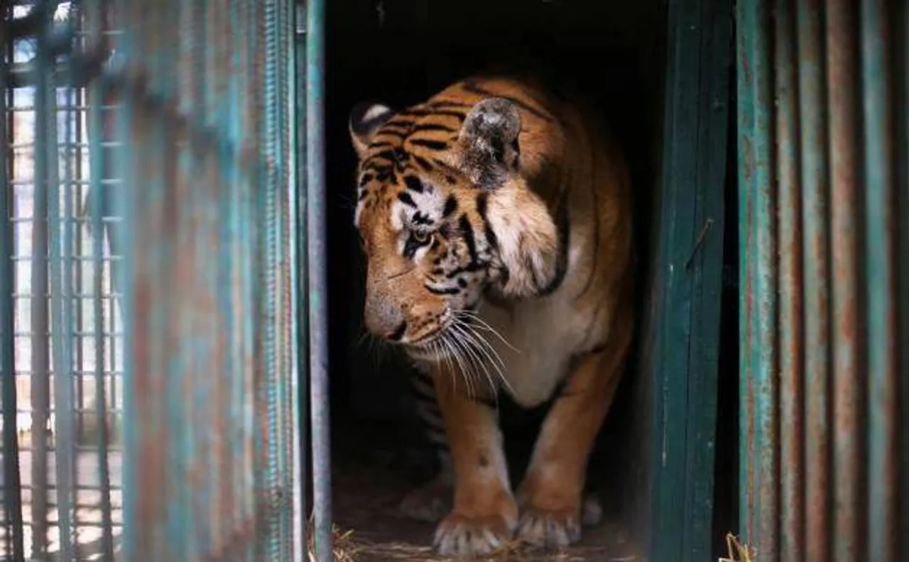 BJP seeks inquiry into BMCâ€™s tender process for revamping zoo