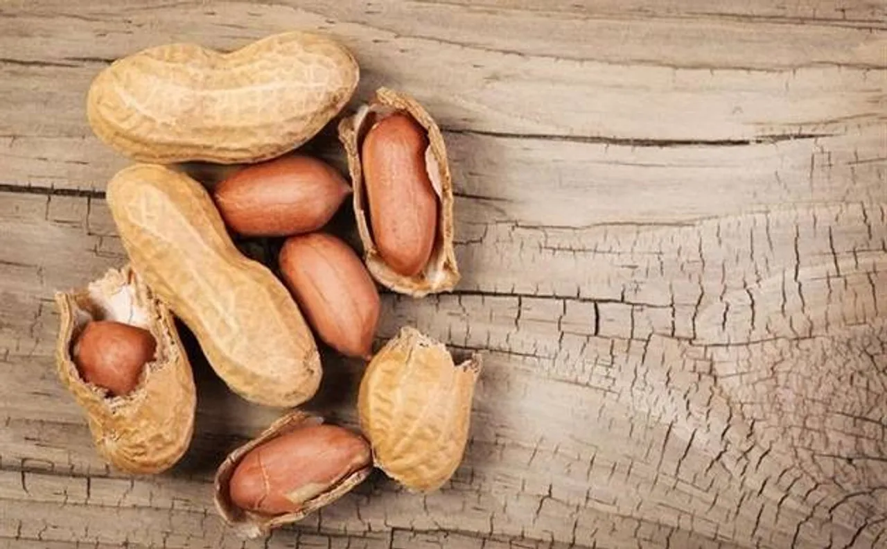 New variety of groundnut developed by agro-scientists