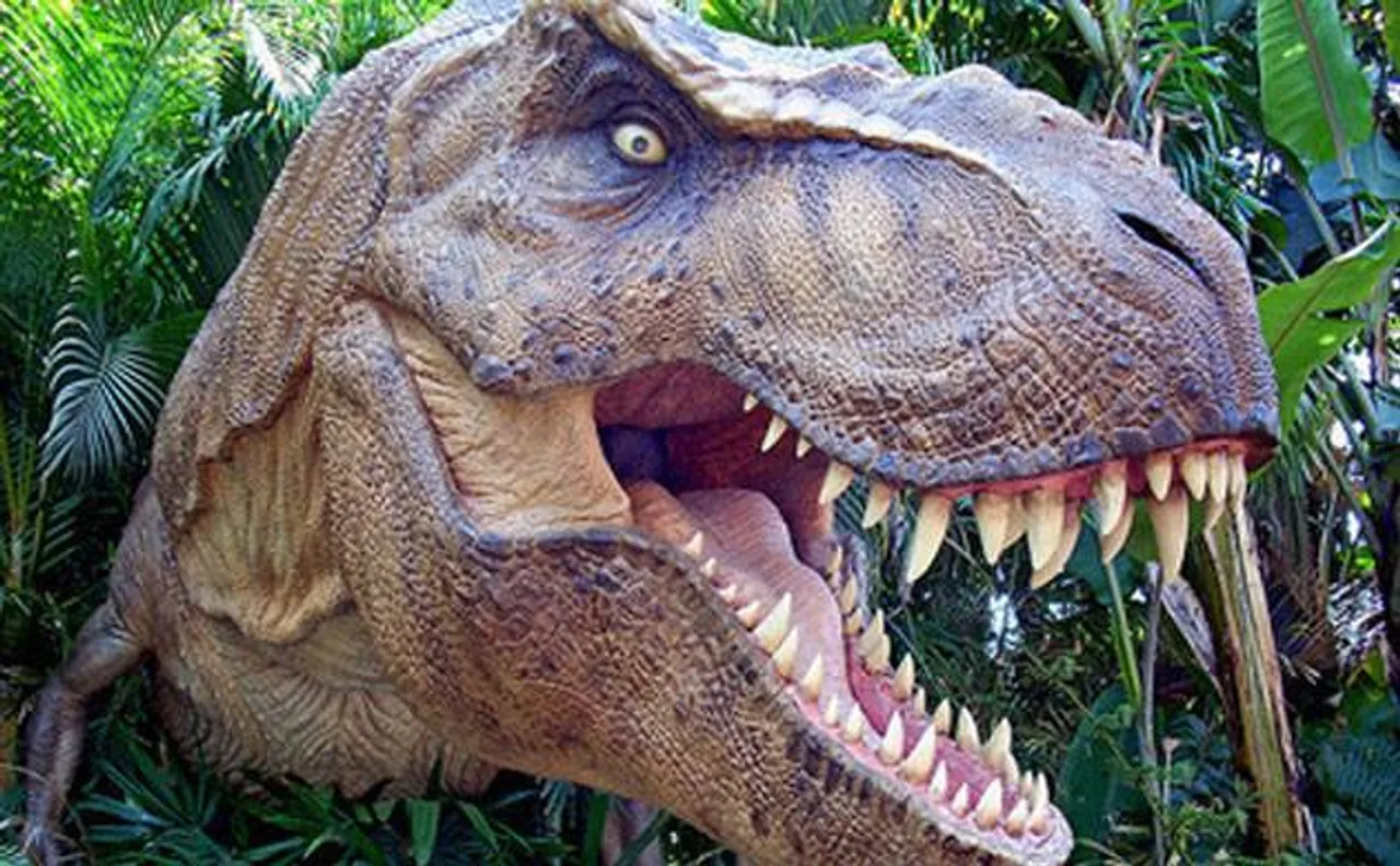 Dinosaurs' highly sensitive face helped them attract mates and eat, says study
