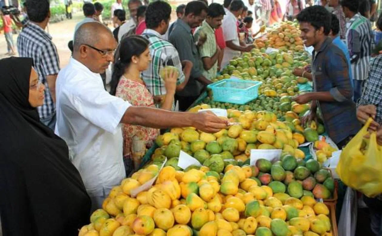 Haryana Mango Festival to begin at Yadavindra Gardens in Pinjore on July 8