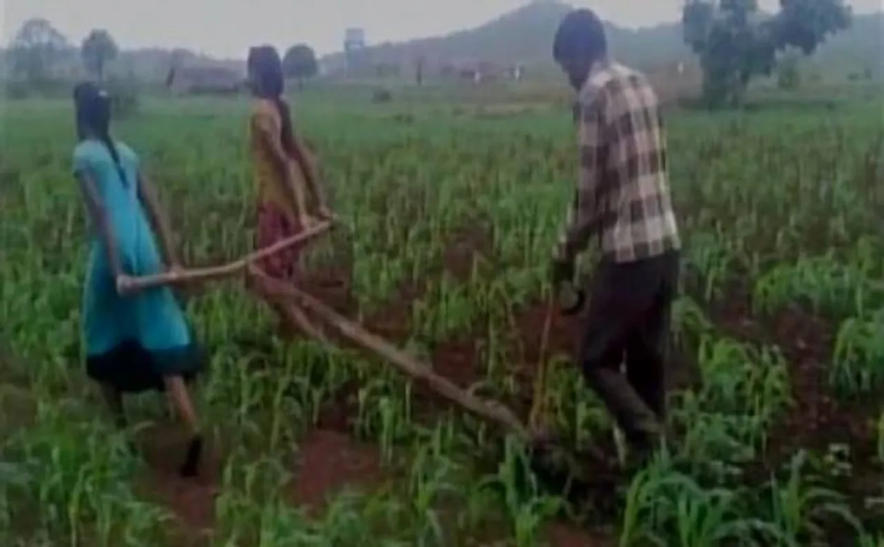 Madhya Pradesh: Financial crisis forces farmer to use daughters as oxen in the field 