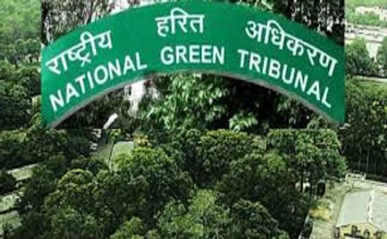 NGT imposes complete ban on 'Manja' made of nylon and synthetic