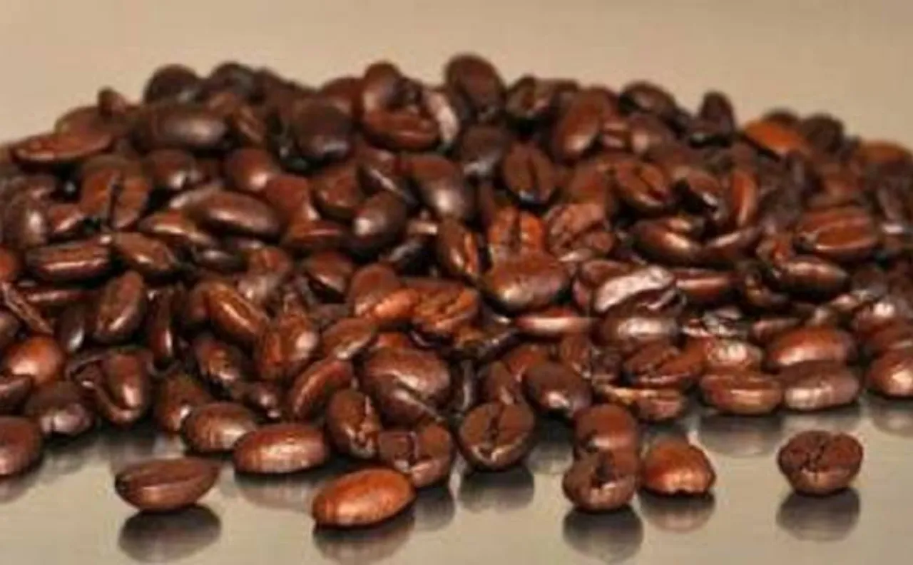 Caffeine may help improve lung function in premature babies