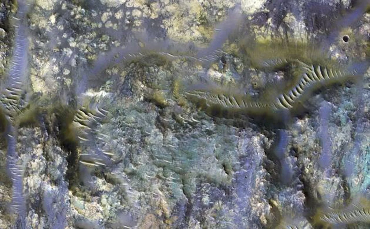 NASA discovers technicolor worms on Mars? Bizarre images reveal giant worm-like creatures on red planet