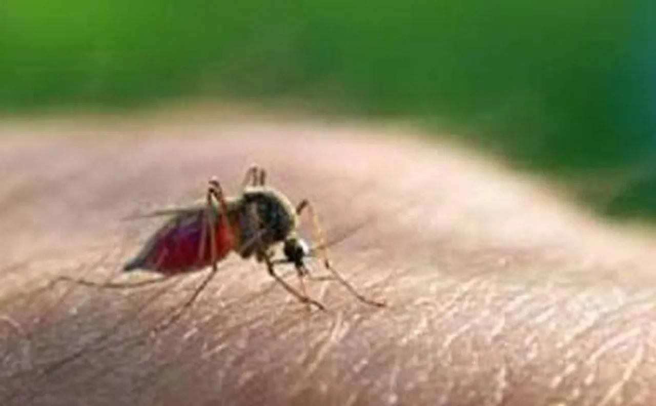 Malaria cases cross 200 mark in Delhi; cases of chikungunya and dengue also on rise