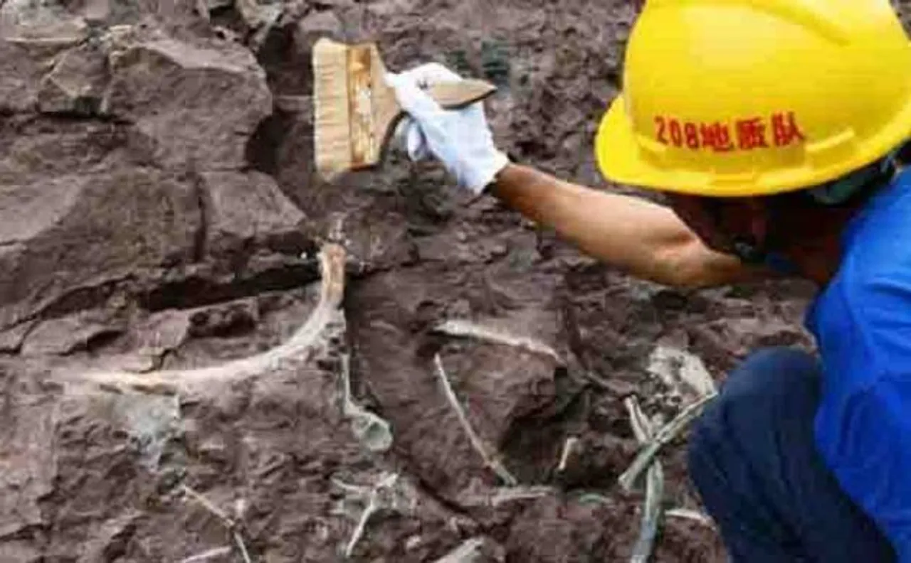 'Giant dinosaur fossil wall' discovered in China's Chongqing city