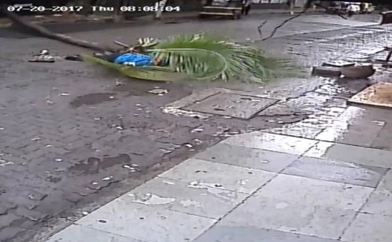 Former Doordarshan anchor dies in Mumbai after coconut tree falls on her, CCTV captures incident