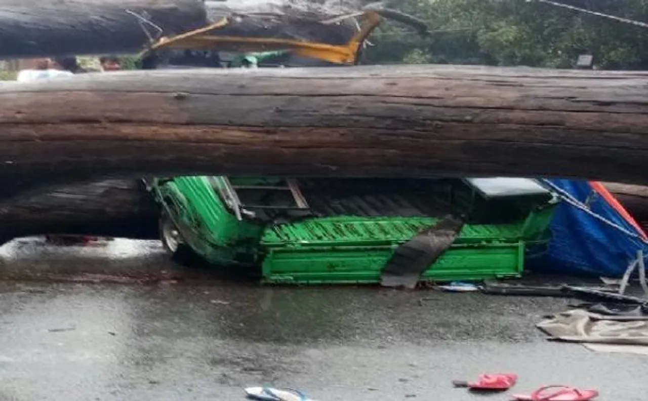  Three killed, seven injured as dry-tree falls on autorickshaw in Ranchi