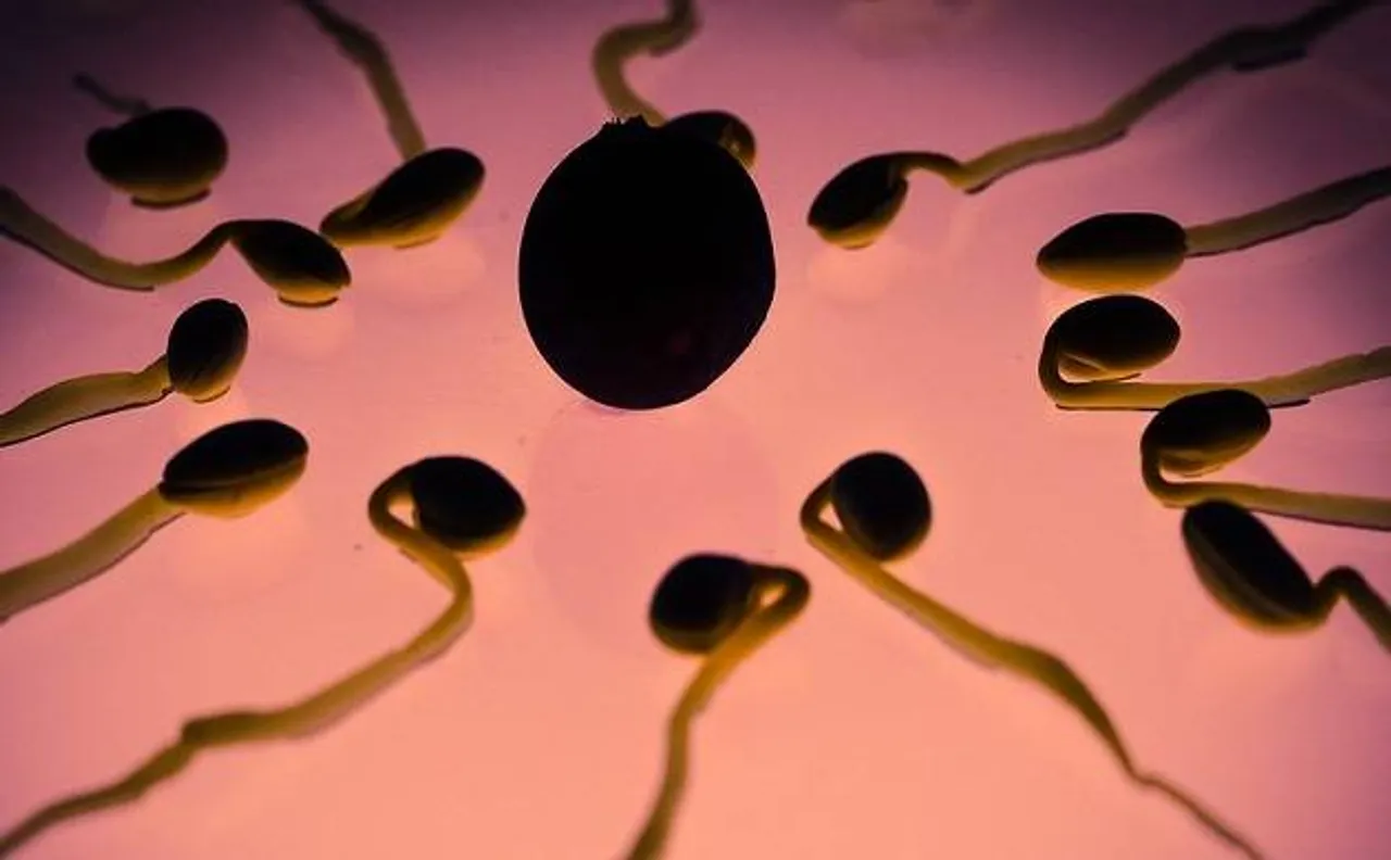 Sperm counts declines by nearly 60 per cent in western men, says study