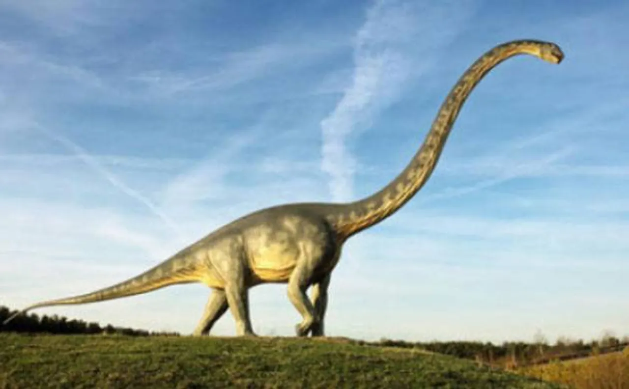 Dinosaur bones discovered in Australia; may reveal how evolution process for sauropods occurred