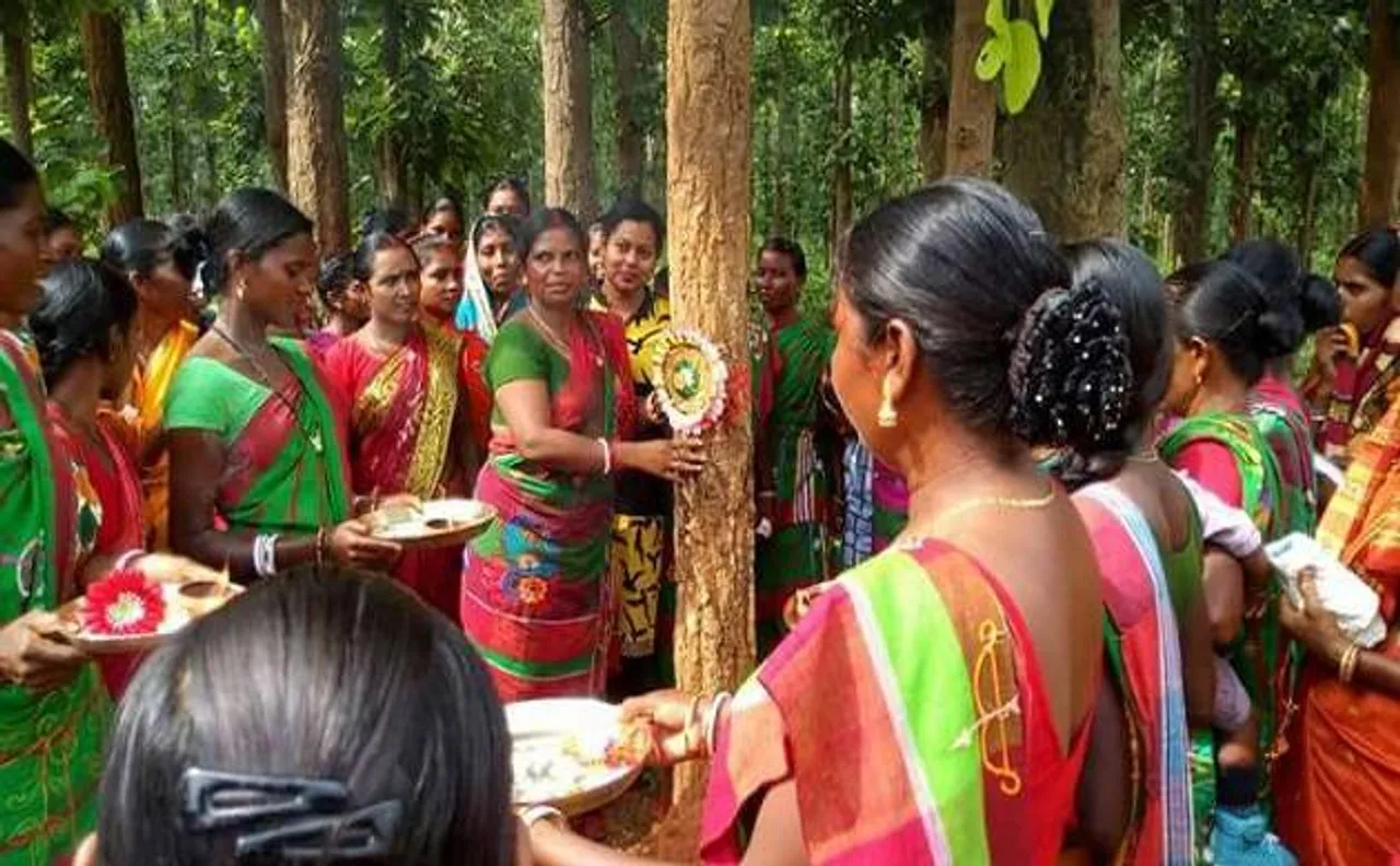 Jharkhand tribal women tie rakhi to trees, take pledge to protect them on Raksha Bandhan