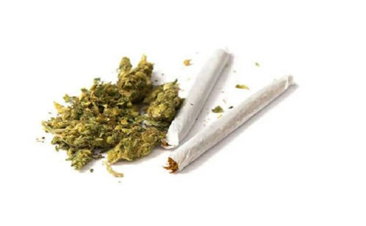 Marijuana is more dangerous than cigarettes; triple death risk from hypertension