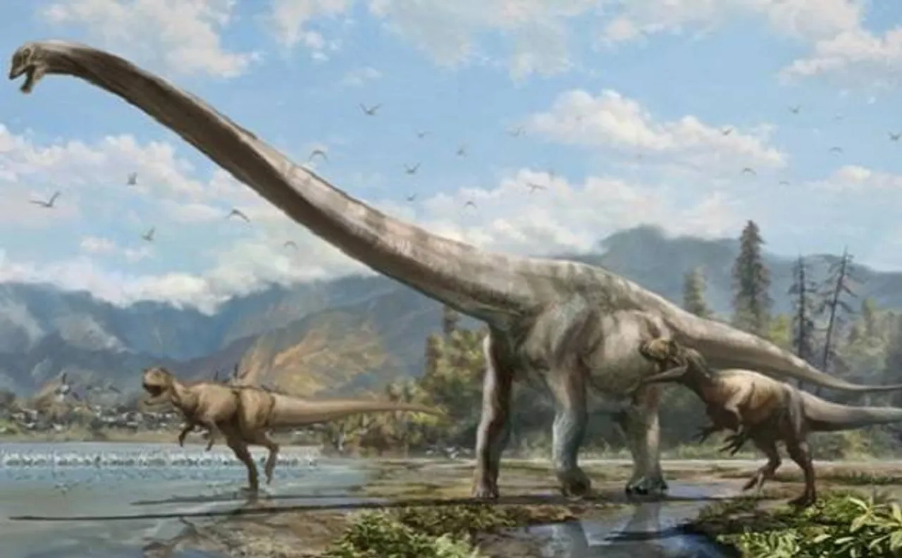 New species of colossal, long necked dinosaurs discovered by scientists
