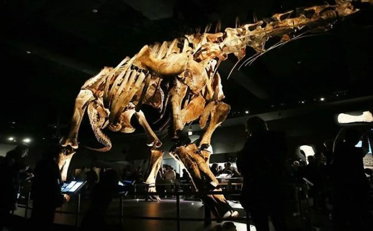 Scientists discover new species of  titanosaurian dinosaur in Tanzania