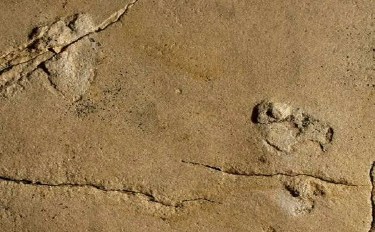 5.7 million years old human-like footprints discovered in Crete may challenge human evolution theories