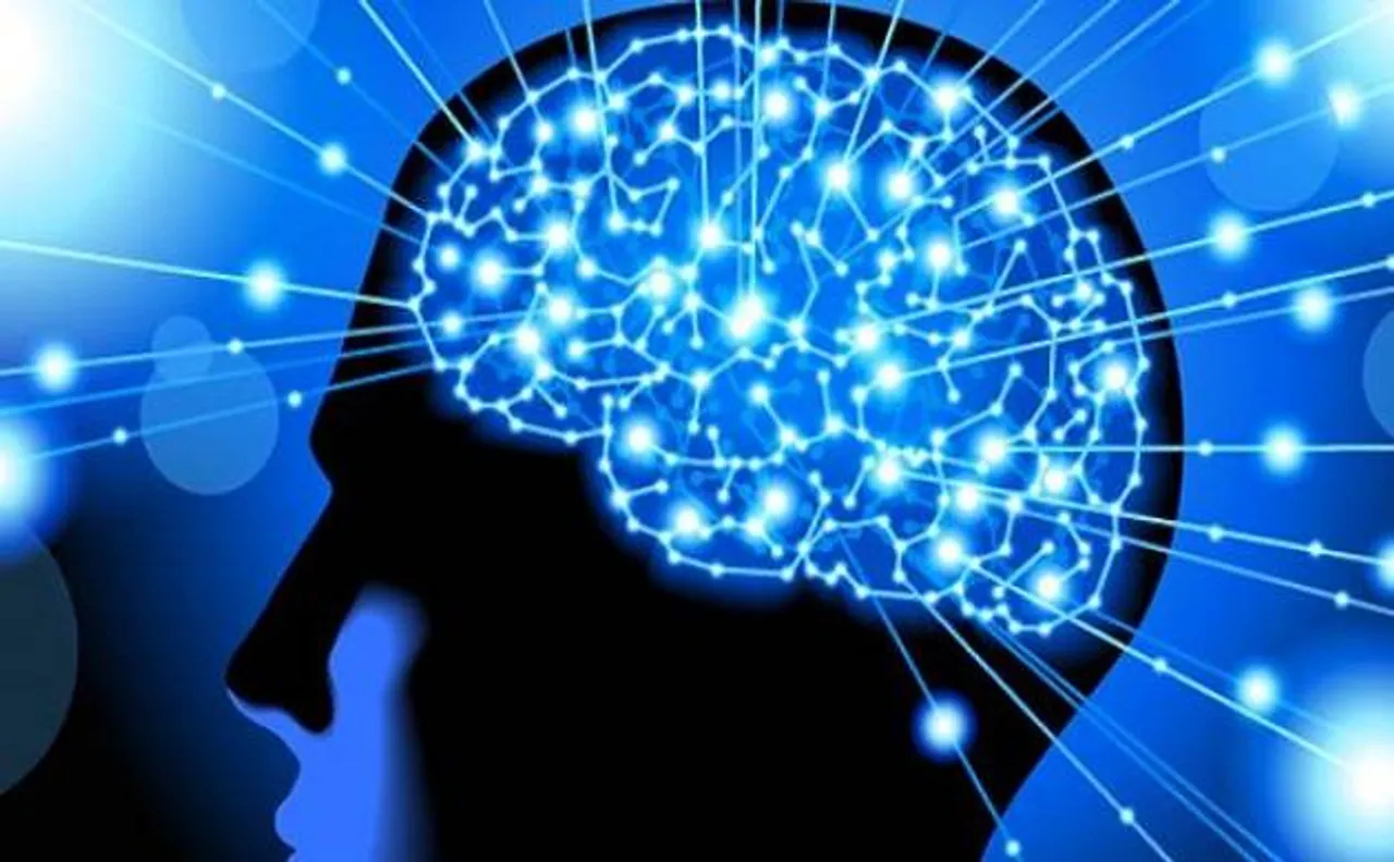 Sleep promoting brain cells identified: Study