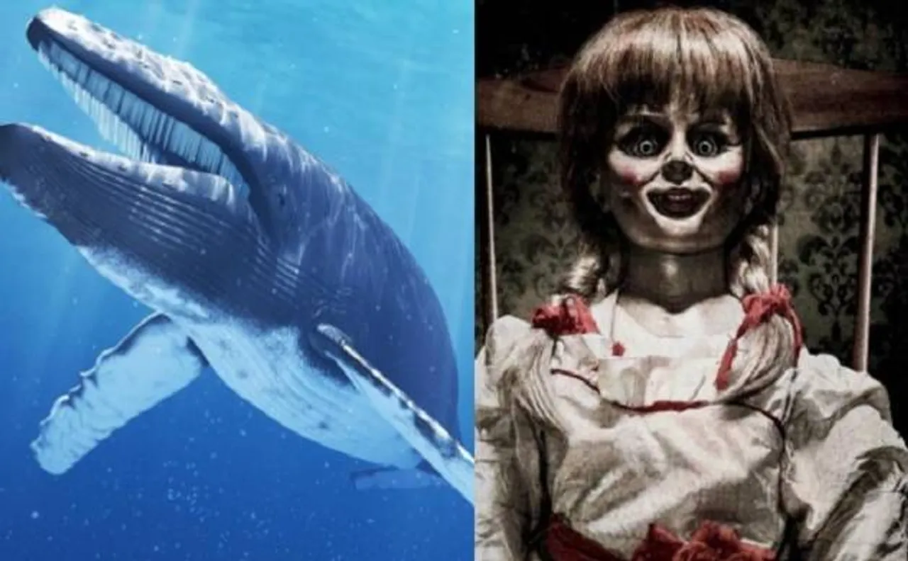'Play Blue Whale game or Annabelle will kill you',  MP students threatened