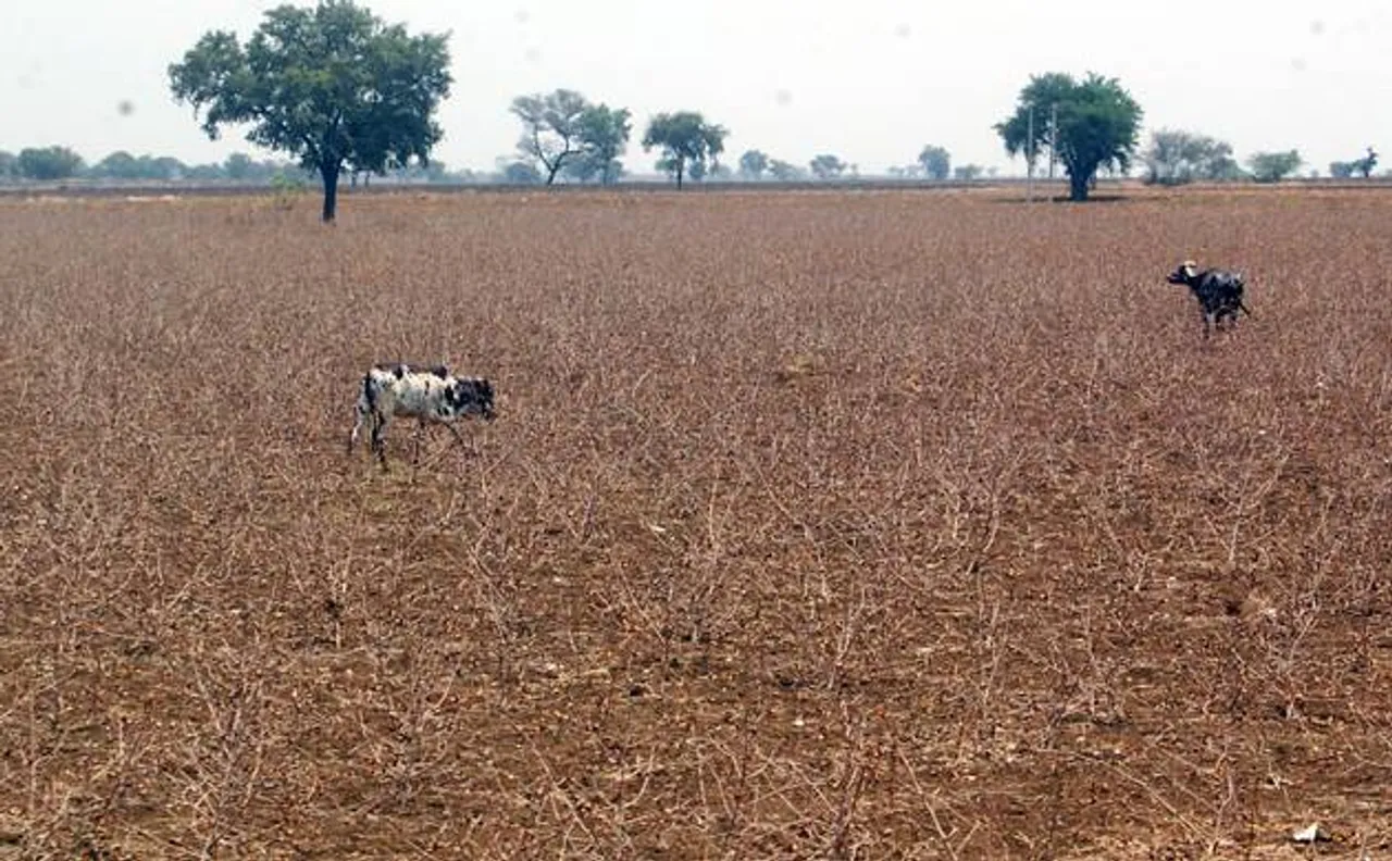 Scientists term climate change responsible for rainfall deficit in Central India