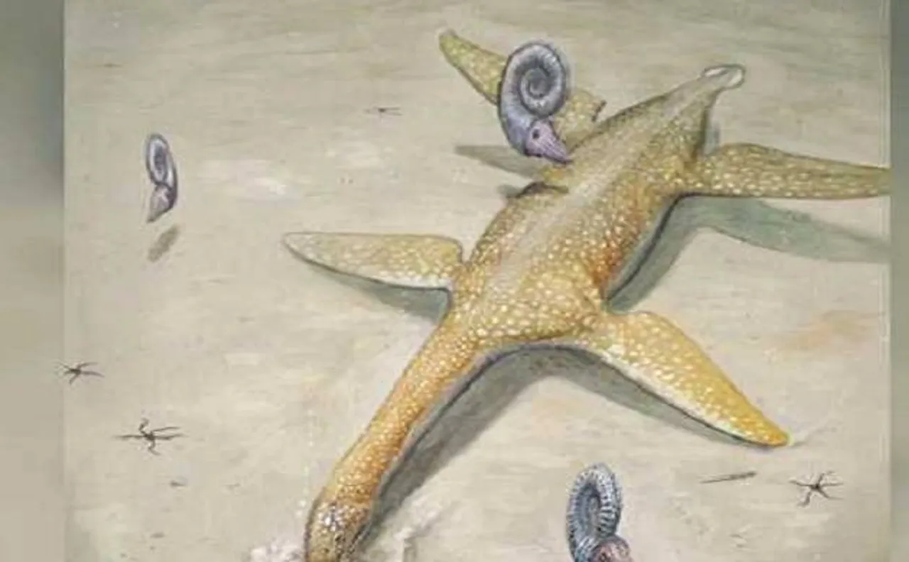 190-million-year-old giant sea monster from early Jurassic period found in Germany