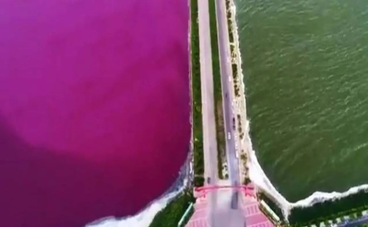 Miraculous! China's Dead Sea transforms into vivid 'pink and green' 