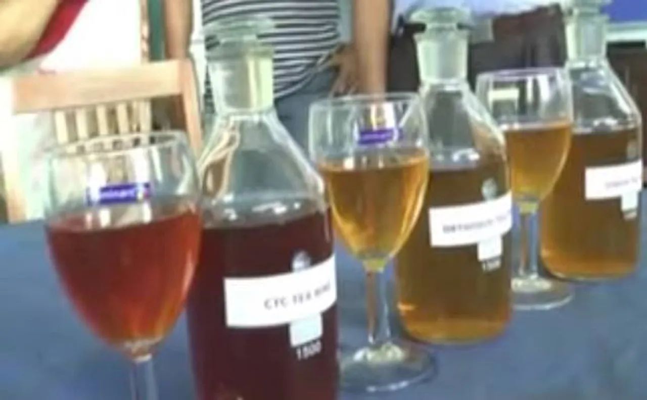 Cheers! Indian scientists develop TEA WINE with health benefits