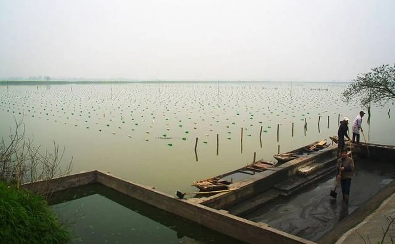China to seek UN heritage tag for its freshwater pearl farming