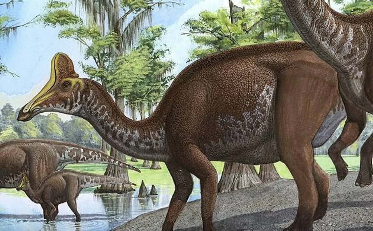 Dinosaur dung reveals plant-eating giants feasted on crabs