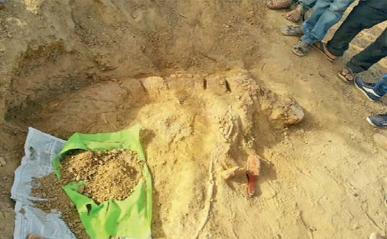 Scientists discover 'Ichthyosaur', first Jurassic-era 'fish lizard' fossil from Kutch district of Gujarat