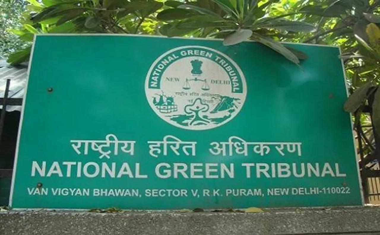 NGT pulls up Delhi govt, says 'don't gift infected lungs to children'