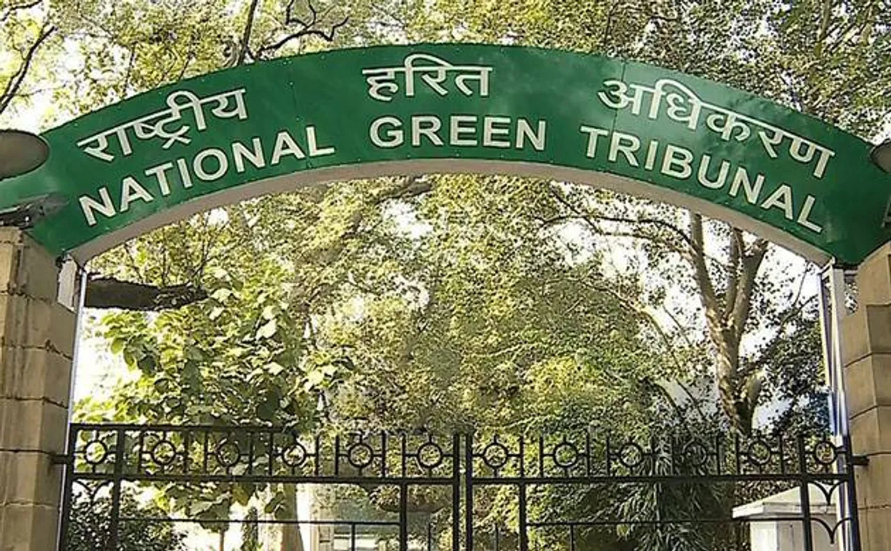 Odd-Even Scheme: NGT asks Delhi govt why it can't run ladies special buses to solve problem