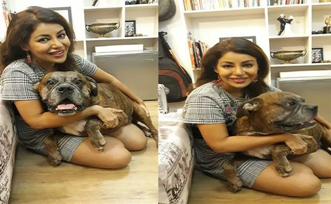 Exclusive: Actress Debina Bonnerjee reveals her stress-buster secret