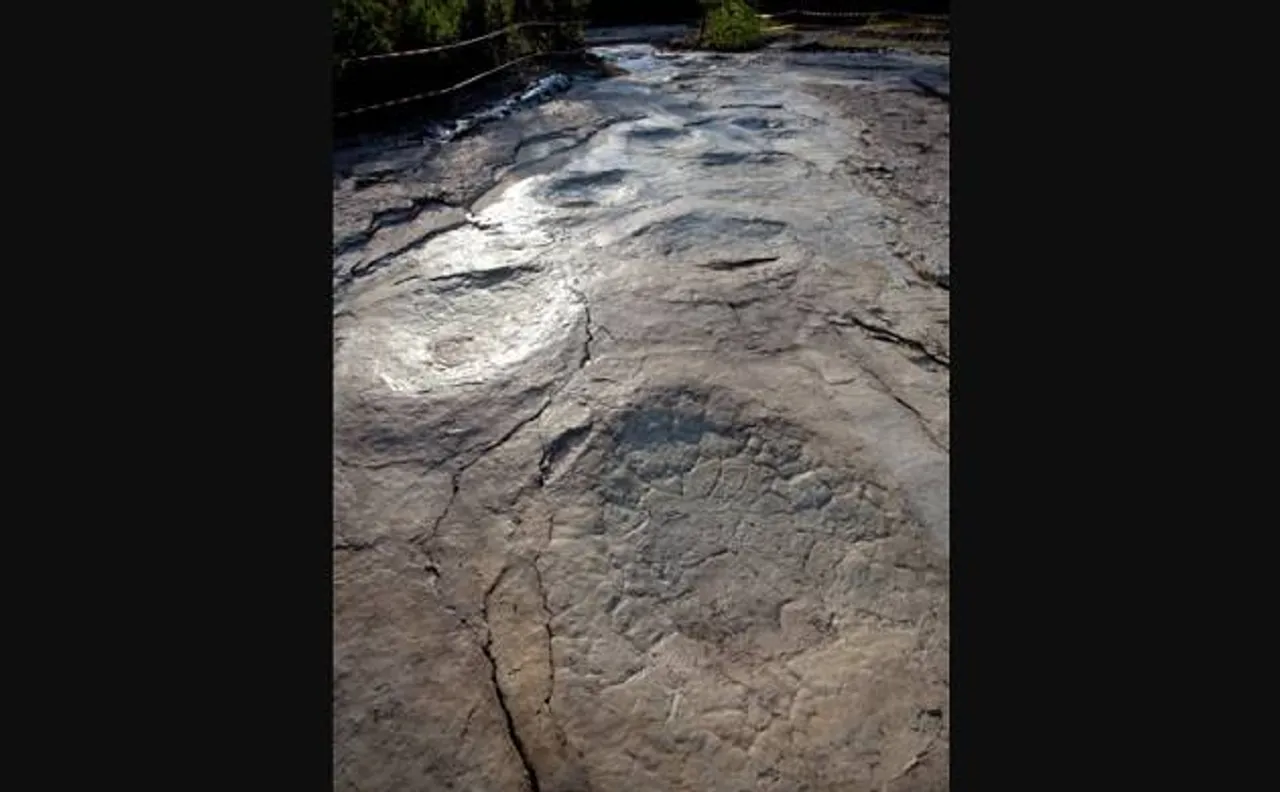 World's longest sauropod trackway discovered in France