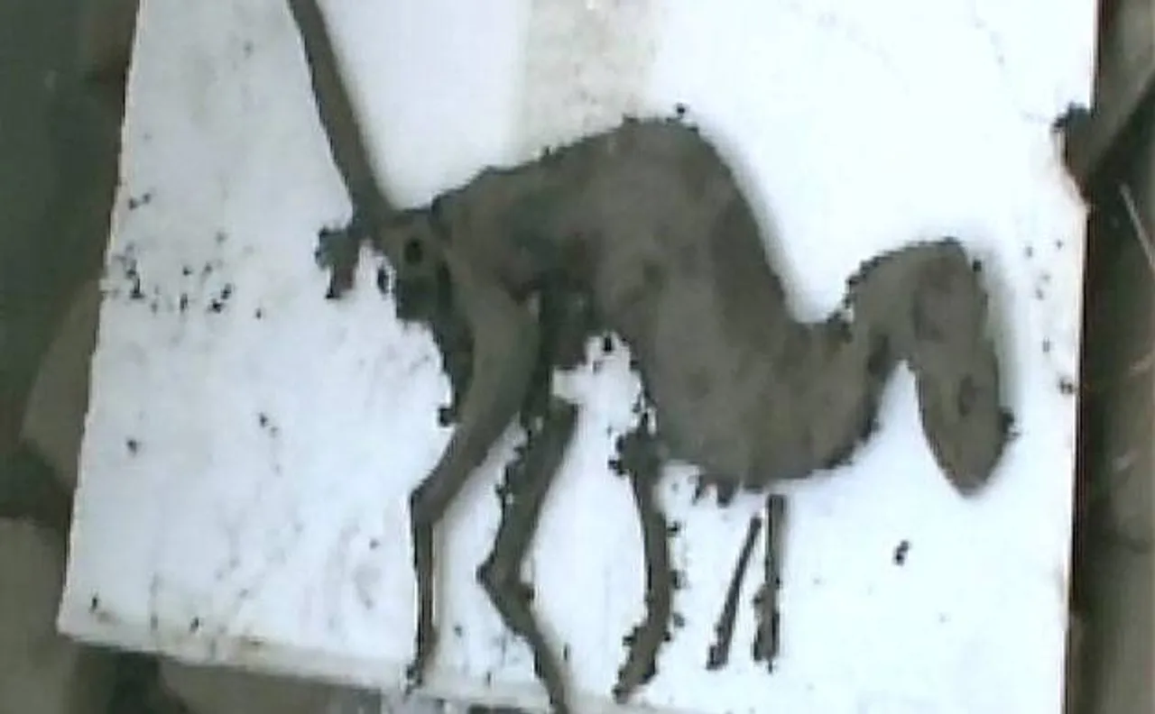 Uttarakhand: Remains of dinosaur-like creature found in Jaspur