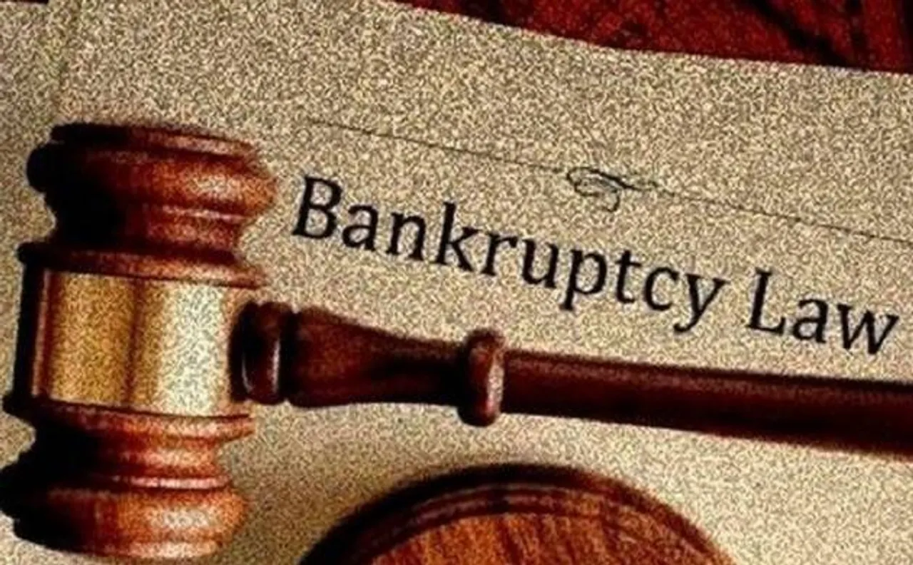 Bankruptcy and Insolvency Law amended, willful defaulters barred from bidding to reclaim company
